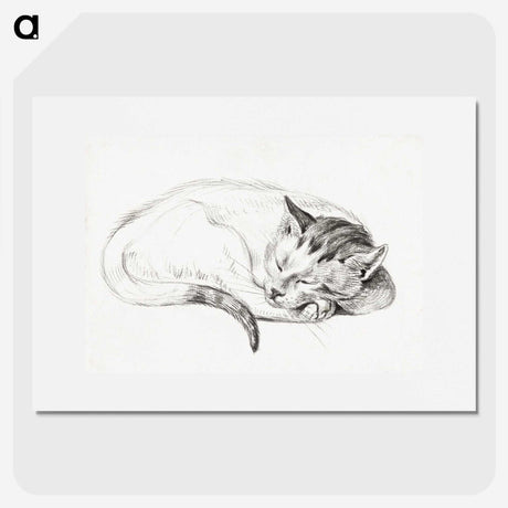 1-80_Jean-Bernard_picture