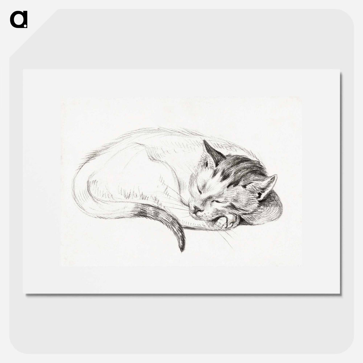 Sketch of a sleeping cat - Jean Bernard Poster.