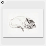 Sketch of a sleeping cat - Jean Bernard Poster.