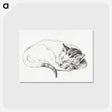 1-80_Jean-Bernard_postcard