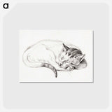 アートポストカード-Sketch of a sleeping cat - ジャン ベルナール Postcard.