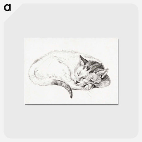アートポストカード-Sketch of a sleeping cat - ジャン ベルナール Postcard.