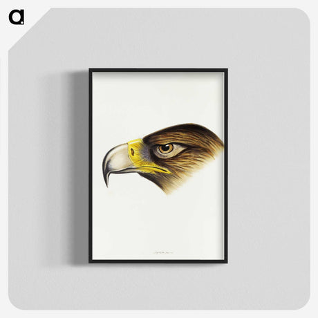 1-80_John-Gould_blk-crop
