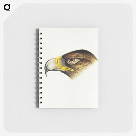 1-80_John-Gould_memo