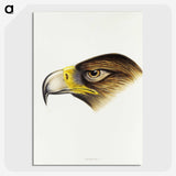 1-80_John-Gould_picture-crop