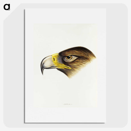 1-80_John-Gould_picture