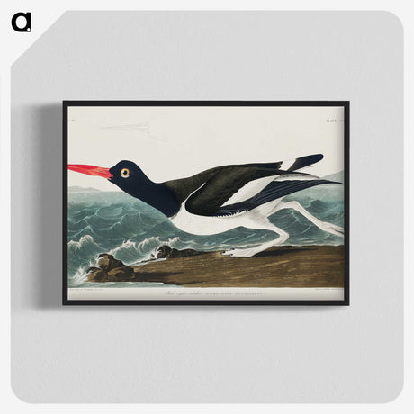 1-80_John-James-Audubon_blk-crop