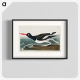 1-80_John-James-Audubon_blk