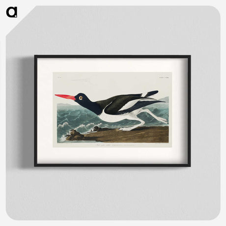 1-80_John-James-Audubon_blk