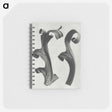 1-80_Karl-Blossfeldt_memo