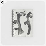 1-80_Karl-Blossfeldt_memo