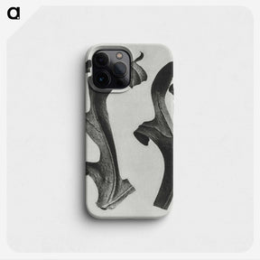 1-80_Karl-Blossfeldt_phone