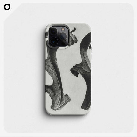 1-80_Karl-Blossfeldt_phone