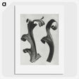 1-80_Karl-Blossfeldt_picture