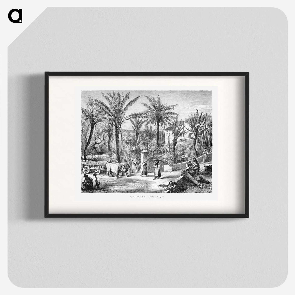 1-80_Les-Palmiers-Histoire-Iconographique_blk