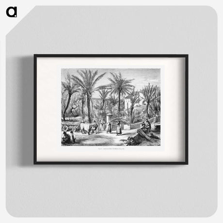 1-80_Les-Palmiers-Histoire-Iconographique_blk