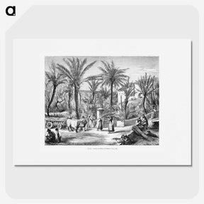 1-80_Les-Palmiers-Histoire-Iconographique_picture