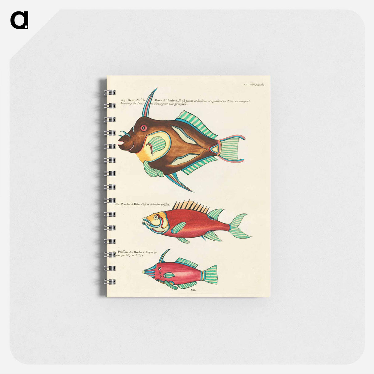 Moluccan Fishes
 - ルイ ルナール Memo.