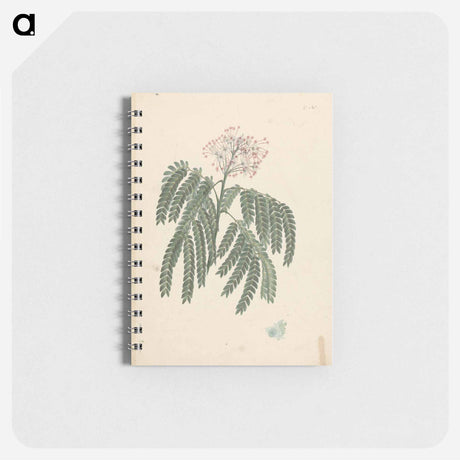 アートメモ帳-Gummy Albizia Tree
 - ルイージ バルガーニ Memo.