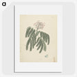 1-80_Luigi-Balugani_picture