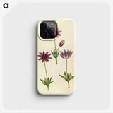 1-80_Maria-Sibylla-Merian_phone