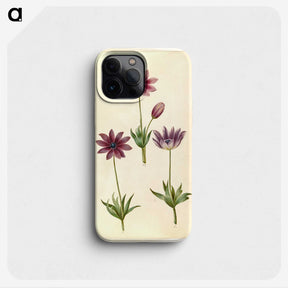 1-80_Maria-Sibylla-Merian_phone