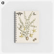 1-80_Mark-Catesby_memo