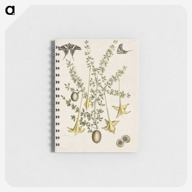 1-80_Mark-Catesby_memo