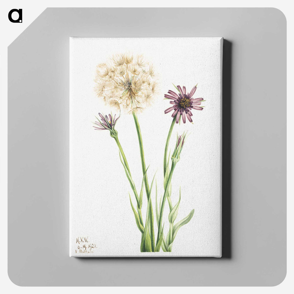 1-80_Mary-Vaux-Walcott_canvas