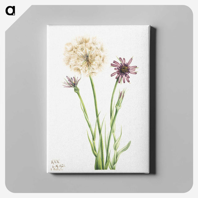 1-80_Mary-Vaux-Walcott_canvas
