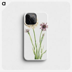 1-80_Mary-Vaux-Walcott_phone