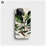 1-80_Native-Flowering-Plants-of-New-Zealand_phone