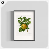 1-80_Nederlandsche-Flora-en-Pomona_blk