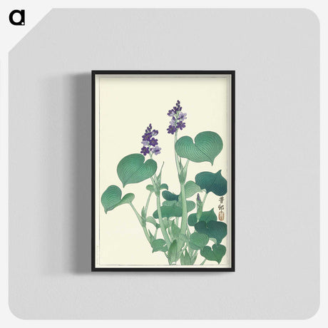 1-80_Ohara-Koson_blk-crop