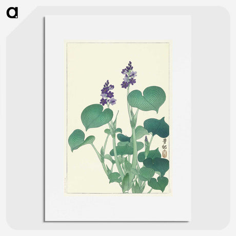 1-80_Ohara-Koson_picture