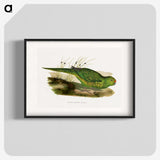 1-80_Parrots-in-Captivity_blk