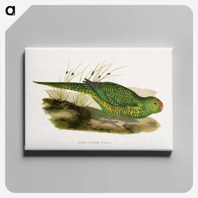 1-80_Parrots-in-Captivity_canvas