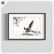 アートポスター-Magpie and Waterfall
 - 鳥類図鑑 Poster.