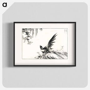 アートポスター-Magpie and Waterfall
 - 鳥類図鑑 Poster.