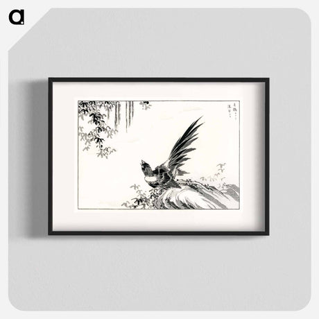アートポスター-Magpie and Waterfall
 - 鳥類図鑑 Poster.