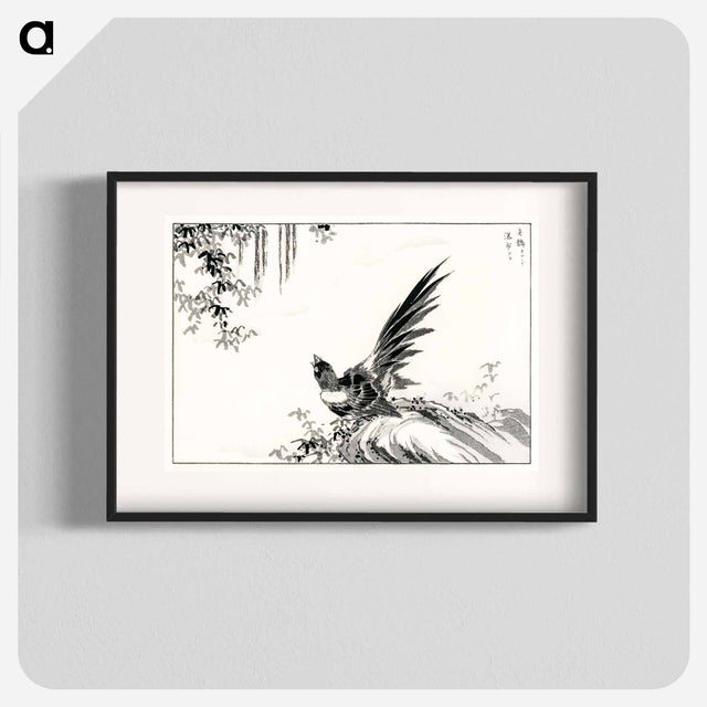 アートポスター-Magpie and Waterfall
 - 鳥類図鑑 Poster.