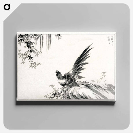 アートパネル-Magpie and Waterfall
 - 鳥類図鑑 Canvas.