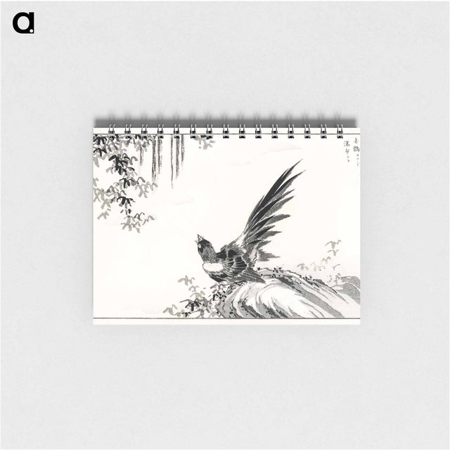 アートメモ帳-Magpie and Waterfall
 - 鳥類図鑑 Memo.