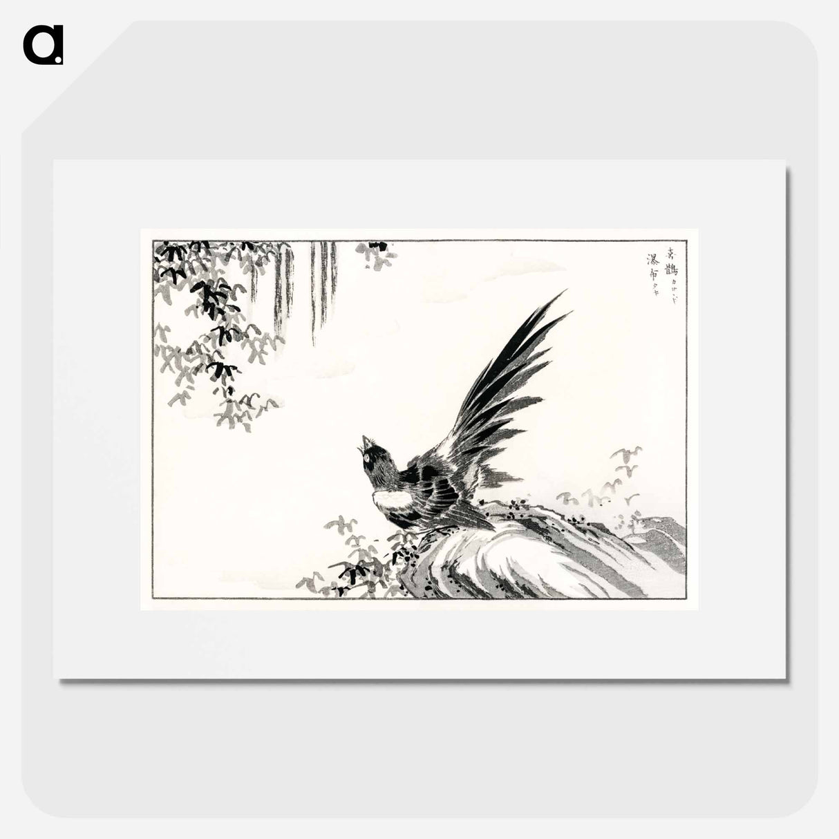 アートポスター-Magpie and Waterfall
 - 鳥類図鑑 Poster.