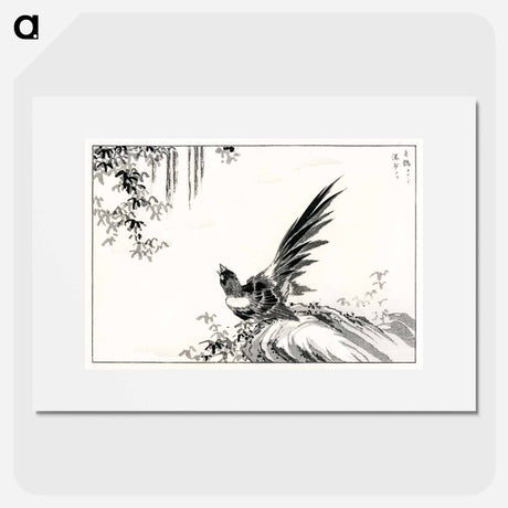 アートポスター-Magpie and Waterfall
 - 鳥類図鑑 Poster.