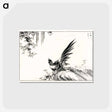 アートポストカード-Magpie and Waterfall
 - 鳥類図鑑 Postcard.