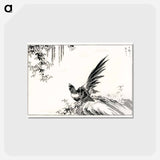 アートポストカード-Magpie and Waterfall
 - 鳥類図鑑 Postcard.