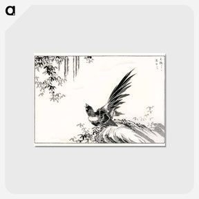 アートポストカード-Magpie and Waterfall
 - 鳥類図鑑 Postcard.
