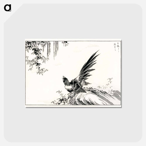 Magpie and Waterfall
 - 鳥類図鑑 Postcard.