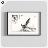 1-80_Pictorial-Monograph-of-Birds_blk